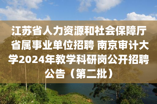 江苏省人力资源和社会保障厅 省属事业单位招聘 南京审计大学2024年教学科研岗公开招聘公告（第二批）