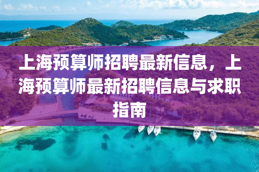 上海预算师招聘最新信息，上海预算师最新招聘信息与求职指南