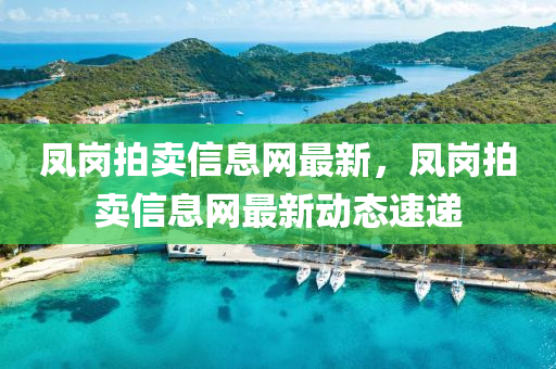 凤岗拍卖信息网最新，凤岗拍卖信息网最新动态速递