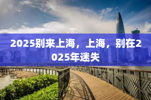 2025别来上海，上海，别在2025年迷失