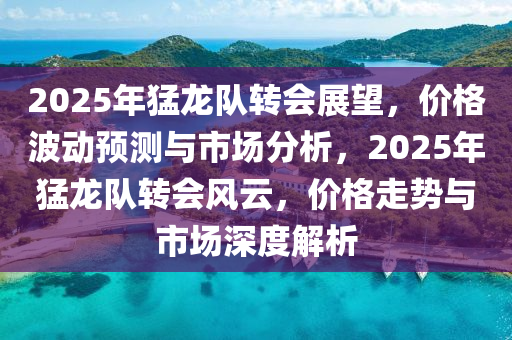 2025年猛龙队转会展望，价格波动预测与市场分析，2025年猛龙队转会风云，价格走势与市场深度解析