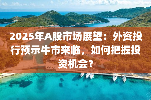 2025年A股市场展望：外资投行预示牛市来临，如何把握投资机会？