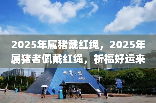 2025年属猪戴红绳，2025年属猪者佩戴红绳，祈福好运来