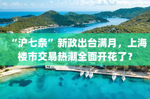 “沪七条”新政出台满月，上海楼市交易热潮全面开花了？