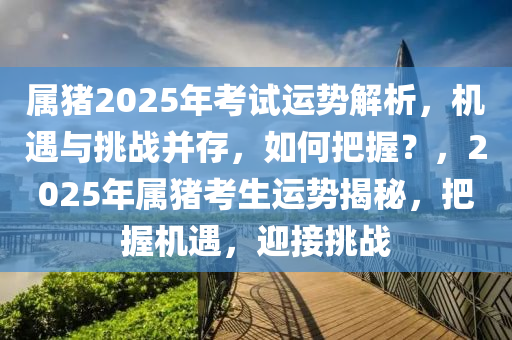 属猪2025年考试运势解析，机遇与挑战并存，如何把握？，2025年属猪考生运势揭秘，把握机遇，迎接挑战