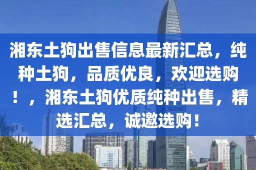 湘东土狗出售信息最新汇总，纯种土狗，品质优良，欢迎选购！，湘东土狗优质纯种出售，精选汇总，诚邀选购！