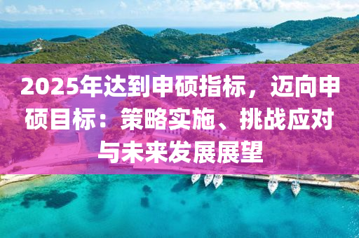 2025年达到申硕指标，迈向申硕目标：策略实施、挑战应对与未来发展展望