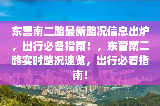 东营南二路最新路况信息出炉，出行必备指南！，东营南二路实时路况速览，出行必看指南！