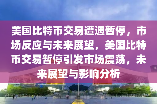 美国比特币交易遭遇暂停，市场反应与未来展望，美国比特币交易暂停引发市场震荡，未来展望与影响分析