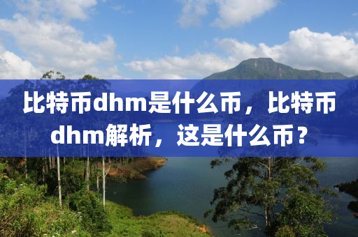 比特币dhm是什么币，比特币dhm解析，这是什么币？