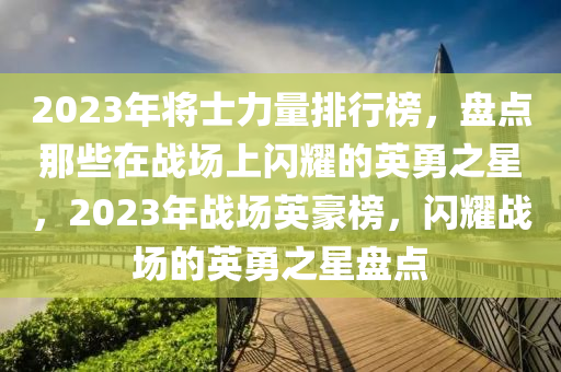 2023年将士力量排行榜，盘点那些在战场上闪耀的英勇之星，2023年战场英豪榜，闪耀战场的英勇之星盘点