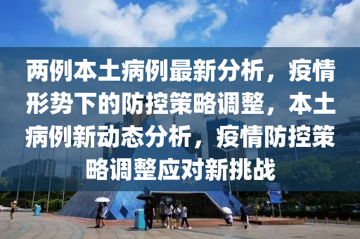 两例本土病例最新分析，疫情形势下的防控策略调整，本土病例新动态分析，疫情防控策略调整应对新挑战