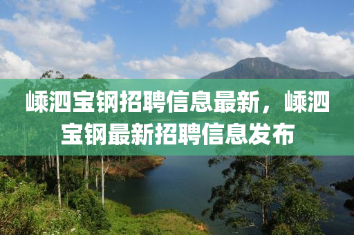 嵊泗宝钢招聘信息最新，嵊泗宝钢最新招聘信息发布