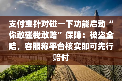 支付宝针对碰一下功能启动“你敢碰我敢赔”保障：被盗全赔，客服称平台核实即可先行赔付