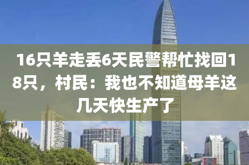 16只羊走丢6天民警帮忙找回18只，村民：我也不知道母羊这几天快生产了