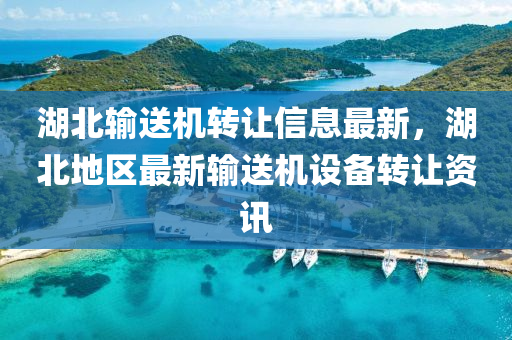 湖北输送机转让信息最新，湖北地区最新输送机设备转让资讯