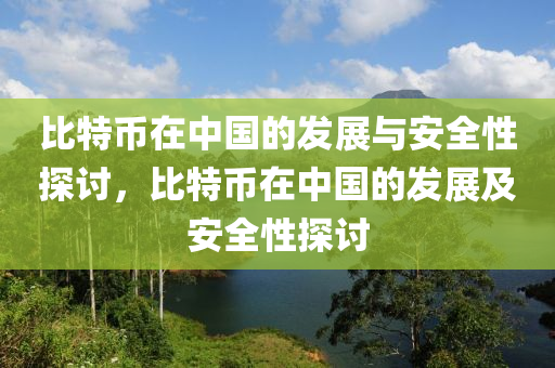 比特币在中国的发展与安全性探讨，比特币在中国的发展及安全性探讨