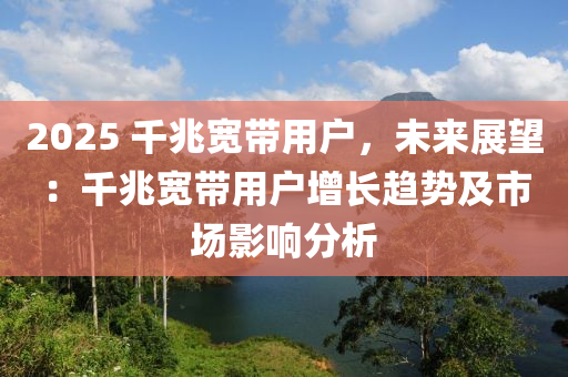 2025 千兆宽带用户，未来展望：千兆宽带用户增长趋势及市场影响分析