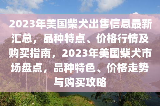 2023年美国柴犬出售信息最新汇总，品种特点、价格行情及购买指南，2023年美国柴犬市场盘点，品种特色、价格走势与购买攻略