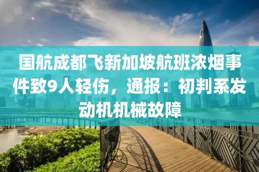 国航成都飞新加坡航班浓烟事件致9人轻伤，通报：初判系发动机机械故障