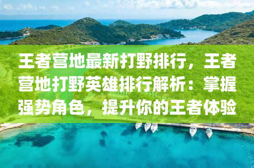 王者营地最新打野排行，王者营地打野英雄排行解析：掌握强势角色，提升你的王者体验