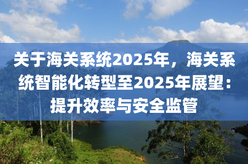 关于海关系统2025年，海关系统智能化转型至2025年展望：提升效率与安全监管