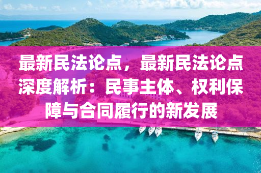 最新民法论点，最新民法论点深度解析：民事主体、权利保障与合同履行的新发展