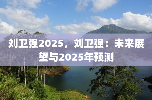 刘卫强2025，刘卫强：未来展望与2025年预测