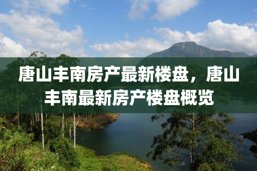 唐山丰南房产最新楼盘，唐山丰南最新房产楼盘概览