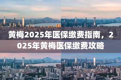 黄梅2025年医保缴费指南，2025年黄梅医保缴费攻略