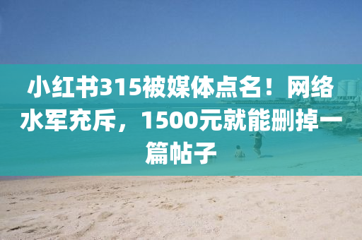 小红书315被媒体点名！网络水军充斥，1500元就能删掉一篇帖子