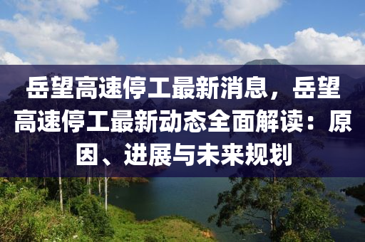 岳望高速停工最新消息，岳望高速停工最新动态全面解读：原因、进展与未来规划