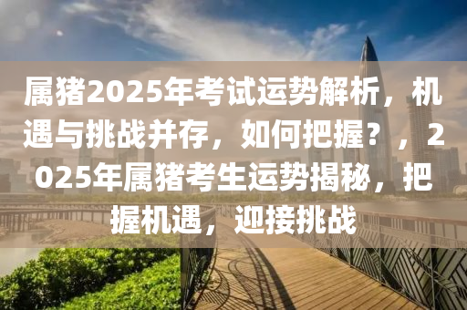 属猪2025年考试运势解析，机遇与挑战并存，如何把握？，2025年属猪考生运势揭秘，把握机遇，迎接挑战