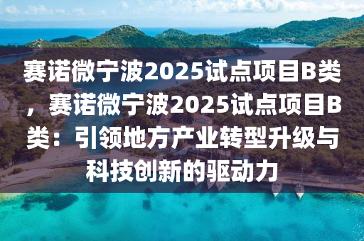 赛诺微宁波2025试点项目B类，赛诺微宁波2025试点项目B类：引领地方产业转型升级与科技创新的驱动力