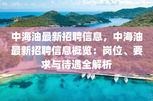 中海油最新招聘信息，中海油最新招聘信息概览：岗位、要求与待遇全解析