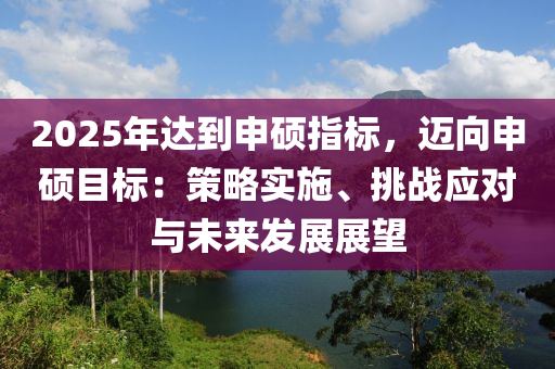 2025年达到申硕指标，迈向申硕目标：策略实施、挑战应对与未来发展展望