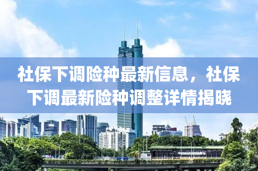 社保下调险种最新信息，社保下调最新险种调整详情揭晓