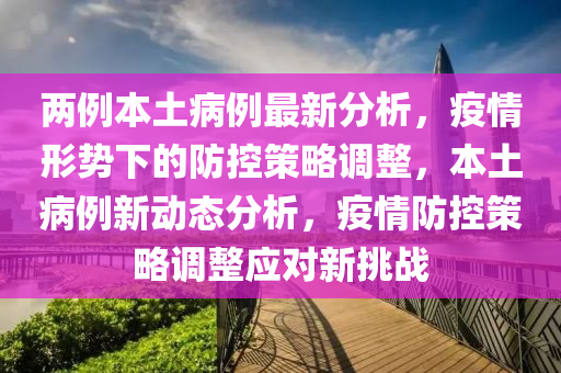 两例本土病例最新分析，疫情形势下的防控策略调整，本土病例新动态分析，疫情防控策略调整应对新挑战