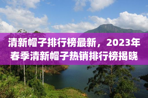 清新帽子排行榜最新，2023年春季清新帽子热销排行榜揭晓