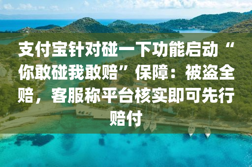 支付宝针对碰一下功能启动“你敢碰我敢赔”保障：被盗全赔，客服称平台核实即可先行赔付