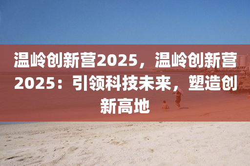 温岭创新营2025，温岭创新营2025：引领科技未来，塑造创新高地