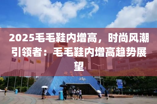 2025毛毛鞋内增高，时尚风潮引领者：毛毛鞋内增高趋势展望