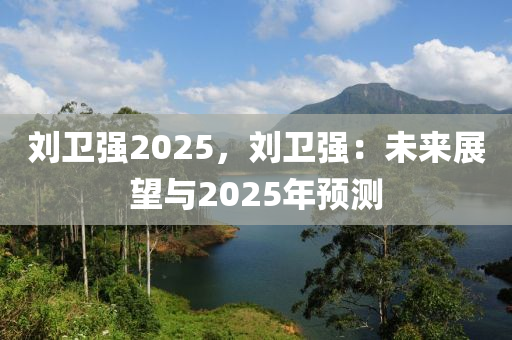 刘卫强2025，刘卫强：未来展望与2025年预测