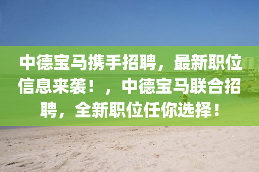 中德宝马携手招聘，最新职位信息来袭！，中德宝马联合招聘，全新职位任你选择！