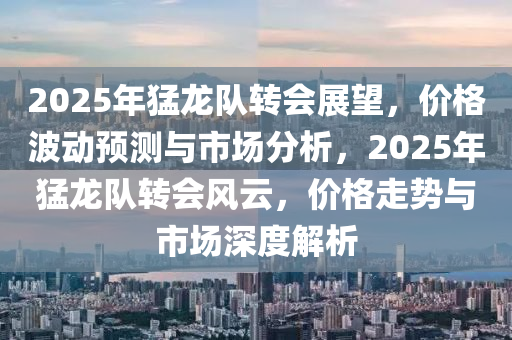 2025年猛龙队转会展望，价格波动预测与市场分析，2025年猛龙队转会风云，价格走势与市场深度解析