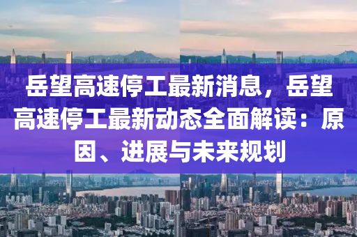 岳望高速停工最新消息，岳望高速停工最新动态全面解读：原因、进展与未来规划