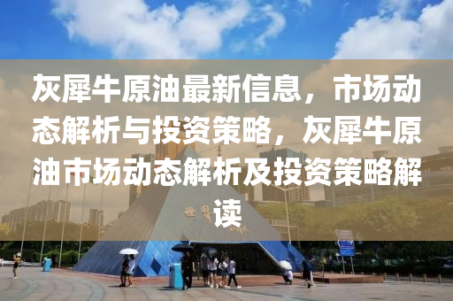 灰犀牛原油最新信息，市场动态解析与投资策略，灰犀牛原油市场动态解析及投资策略解读