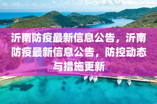 沂南防疫最新信息公告，沂南防疫最新信息公告，防控动态与措施更新