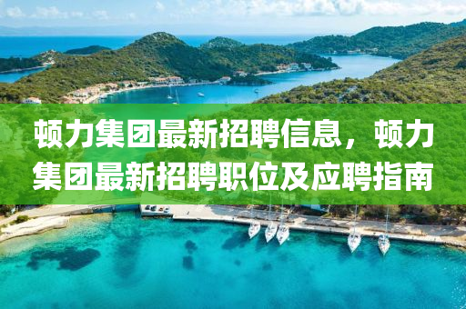 顿力集团最新招聘信息，顿力集团最新招聘职位及应聘指南