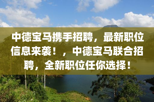 中德宝马携手招聘，最新职位信息来袭！，中德宝马联合招聘，全新职位任你选择！